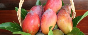 2mango