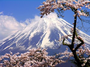 84449738_Image_0520