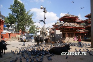 SONY DSC