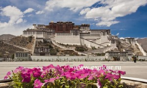 Potala2