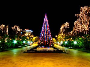 elka_svet_01b