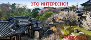 2374100_image_1
