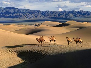 Тур в Монголию из Иркутска