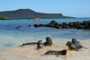 Галапагосские острова. отдых и экскурсии Экзотик Азия Тур 